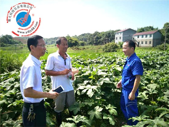 雅大科技胡順開(kāi)與農(nóng)戶描繪特色酒市場(chǎng)前景