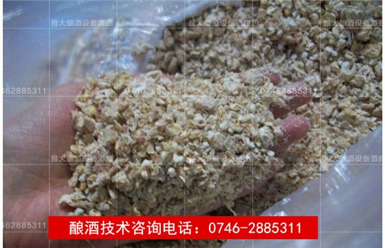 【雅大燒酒設備釀酒教學】玉米生料釀酒技術