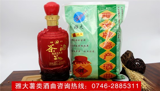 【釀酒技術(shù)】雅大薯類酒曲