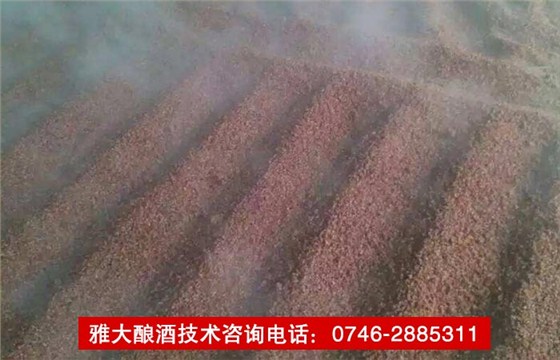 【釀酒技術(shù)】傳統(tǒng)固態(tài)釀酒技術(shù)&mdash;&mdash;攤糧