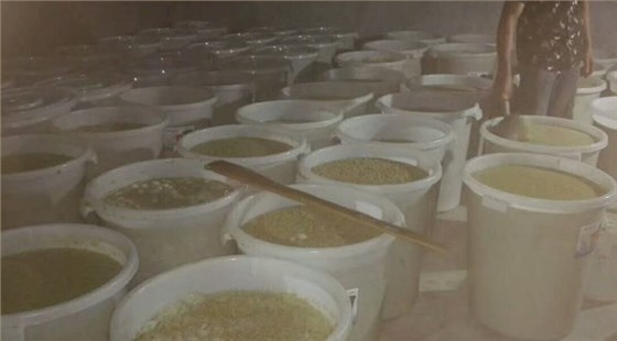 【釀酒技術(shù)】獼猴桃酒&mdash;&mdash;裝壇