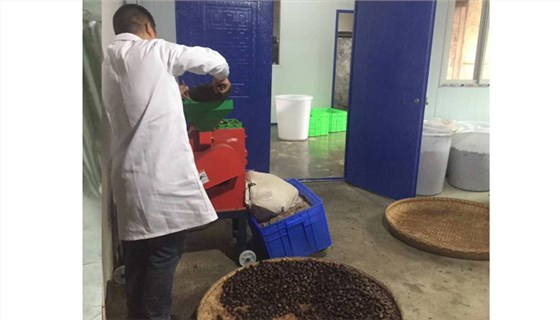 【釀酒技術(shù)】板栗酒&mdash;&mdash;粉碎