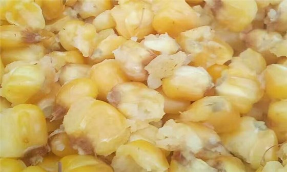 【釀酒知識】影響淀粉糖化的原因&mdash;&mdash;糧食蒸煮