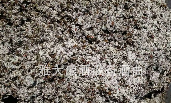 【蒸酒設(shè)備】特色酒拐棗酒釀酒技術(shù)&mdash;&mdash;拐棗打碎加酒曲