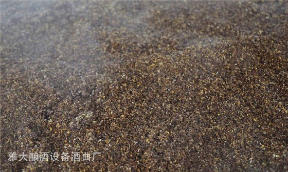 酒糟喂羊固態(tài)酒糟好還是液態(tài)酒糟好？