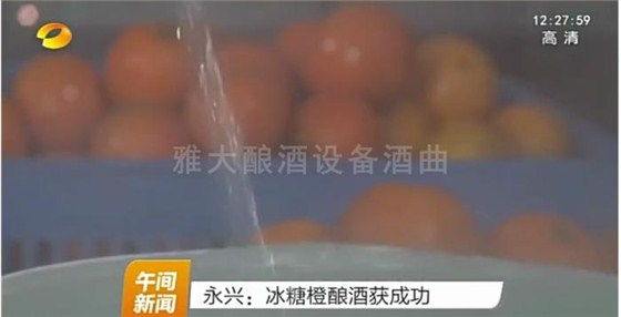 永興冰糖橙滯銷 曹總引雅大烤酒設(shè)備靠&ldquo;釀&rdquo;帶動(dòng)銷量