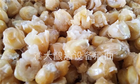 用雅大燒酒設備蒸糧，加燜水應該從甑底加還是上面加？