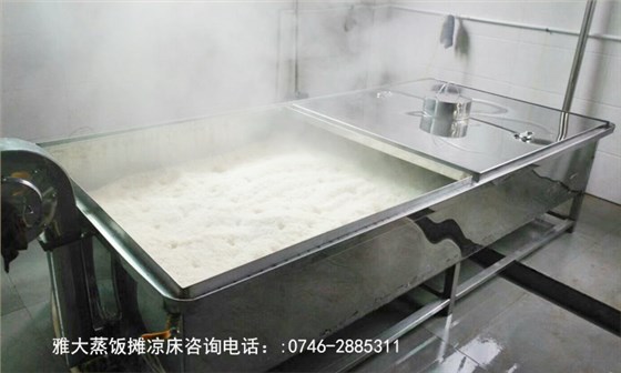 「蒸酒設(shè)備」大米熟料發(fā)酵&mdash;用雅大蒸飯攤涼一體鍋蒸飯