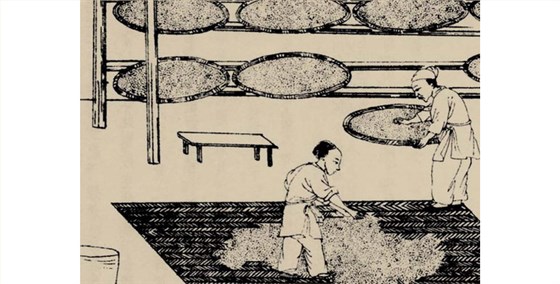 燒酒和白酒都是什么酒，所用蒸酒設備有何區(qū)別？