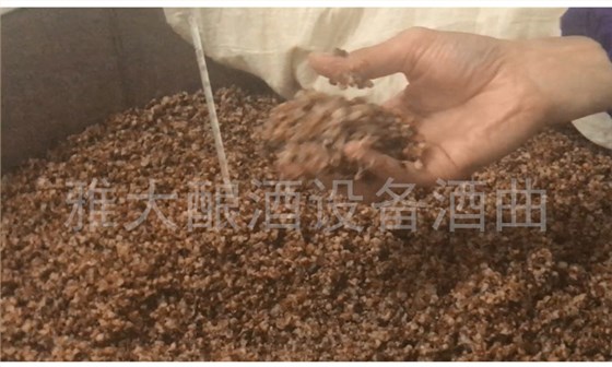 傳統(tǒng)固態(tài)釀酒|低溫蒸煮、低溫糖化發(fā)酵