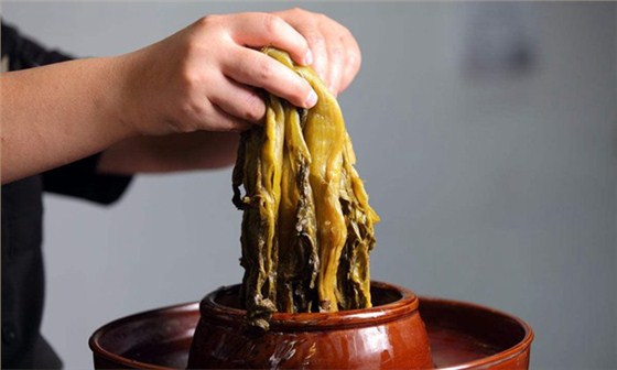 釀酒新人常見(jiàn)30問(wèn) 你不能不知的秘密&mdash;&mdash;糧食/酒曲/發(fā)酵桶選擇篇