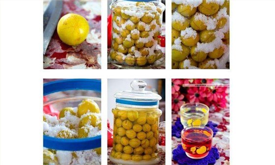 李子釀酒&mdash;雅大白酒設(shè)備