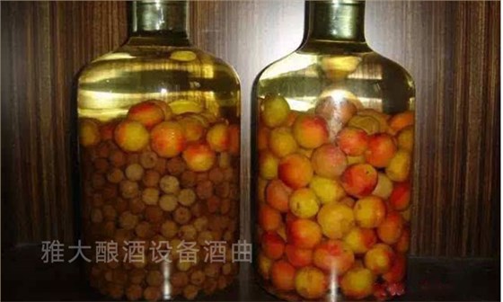 李子釀酒&mdash;雅大白酒設(shè)備