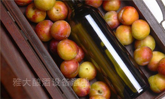 李子釀酒&mdash;雅大白酒設(shè)備