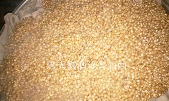 熟料釀酒設備|小麥固態(tài)酒釀酒工藝流程&mdash;&mdash;悶糧