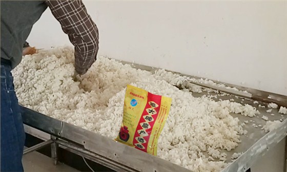 蒸汽釀酒設(shè)備|大米半固態(tài)發(fā)酵釀酒技術(shù)&mdash;&mdash;拌酒曲