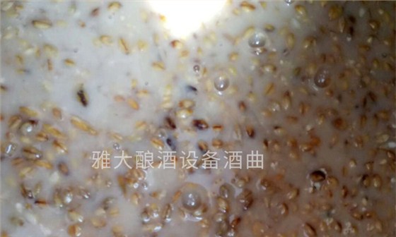 「釀酒設(shè)備廠(chǎng)家」青稞發(fā)酵酒的工藝流程&mdash;&mdash;青稞發(fā)酵