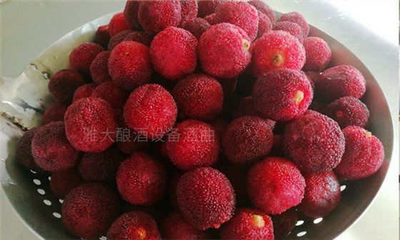 雅大釀酒設備 楊梅釀酒技術：07