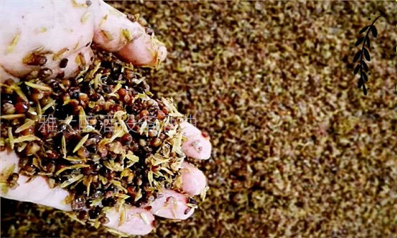 釀白酒設(shè)備做固態(tài)酒，一定要提前對輔料進(jìn)行處理