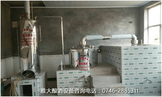 初生牛犢不怕虎，女神用酒廠釀酒設(shè)備做葡萄酒帶領(lǐng)村民致富3