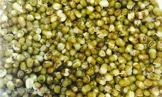 27-用酒廠釀酒設備如何制作綠豆單糧酒和多糧酒？綠豆蒸開花