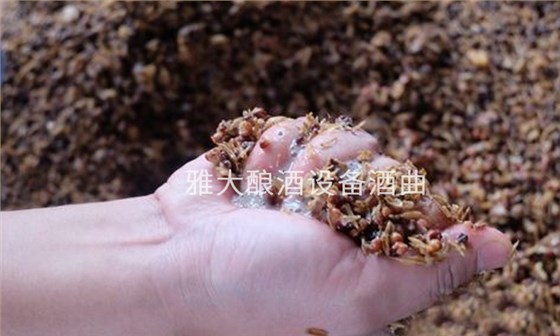 7.29 夏季做箱糖化階段和酒精發(fā)酵階段管理好，燒酒設(shè)備也能釀出好酒！5