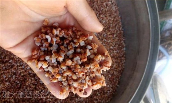 31-古法白酒生產(chǎn)設(shè)備釀酒美味高粱酒，香飄全國(guó)各地4