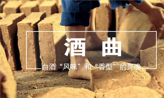 酒曲到底是什么&ldquo;東東&rdquo; 可將糧食轉(zhuǎn)化成酒而不是其他物質(zhì)？1