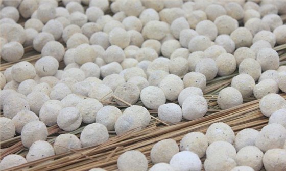 酒曲到底是什么&ldquo;東東&rdquo; 可將糧食轉(zhuǎn)化成酒而不是其他物質(zhì)？4