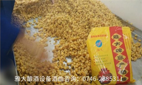 想回家用酒廠釀酒設備開個小酒坊，多長時間可以回本？02 有電話