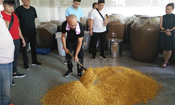 4步教您用糧食釀酒設備做固態(tài)玉米酒，純實操！-05