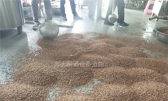 大手筆！雅大電加熱釀酒設備廠準備2萬斤高粱等您來實操釀酒-04