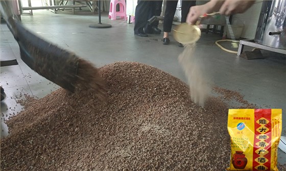 大手筆！雅大電加熱釀酒設備廠準備2萬斤高粱等您來實操釀酒-05