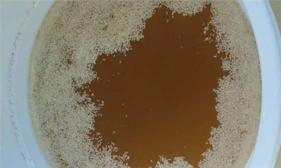 電加熱釀酒設備做生料酒與熟料酒，在口感上有什么區(qū)別？-04 (2)