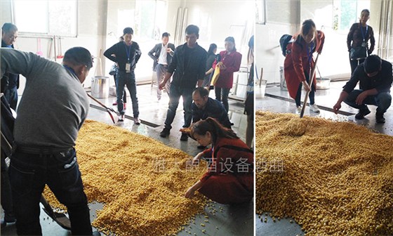 雅大優(yōu)惠活動持續(xù)升溫，恭喜潘總抽中200斤糧食釀酒設(shè)備1套-12-實操學習