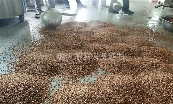 擁有10多套房產(chǎn)的包租婆，為何選擇用糧食釀酒設(shè)備做酒？-04