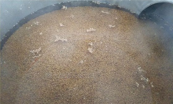 雅大邀您到酒廠用白酒蒸酒設(shè)備實(shí)操釀青稞酒，青稞酒實(shí)操教學(xué)！-02--泡糧