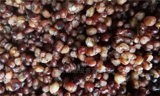 饒總用專業(yè)釀酒設(shè)備做洞藏酒，半年后洞天醇成為當(dāng)?shù)卣信坡糜尉包c-09