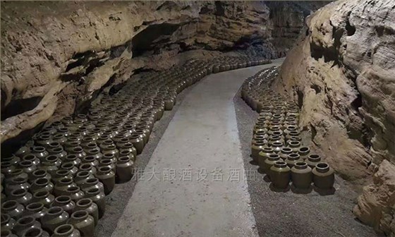 饒總用專業(yè)釀酒設(shè)備做洞藏酒，半年后洞天醇成為當(dāng)?shù)卣信坡糜尉包c-10