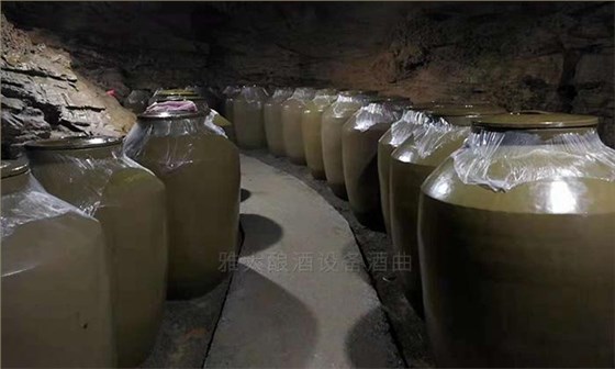 饒總用專業(yè)釀酒設(shè)備做洞藏酒，半年后洞天醇成為當?shù)卣信坡糜尉包c-12