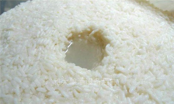 9步用專業(yè)釀酒設(shè)備做出傳統(tǒng)江西客家米酒，客家米酒傳統(tǒng)老工藝-06-米酒發(fā)酵1