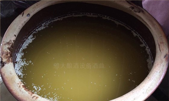 做大米酒適合哪種小型酒廠設(shè)備和發(fā)酵工藝？做大米酒注意事項！-05-大米熟料液態(tài)釀酒