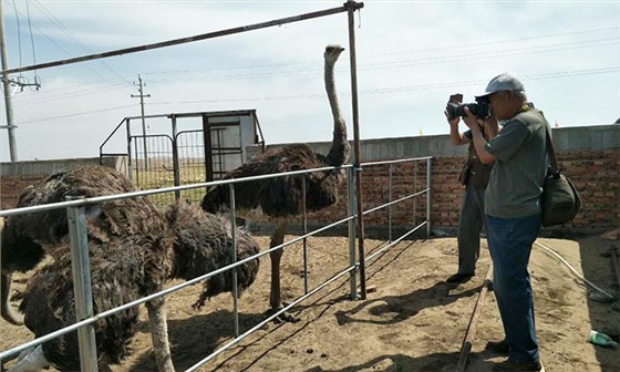 用雅大釀酒設(shè)備開個純糧酒坊如何選址，賣散酒的店開哪好？-06