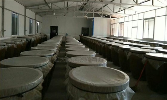 50歲高阿姨借助不銹鋼釀酒設(shè)備，帶領(lǐng)當(dāng)?shù)匕傩瞻l(fā)家致富-06