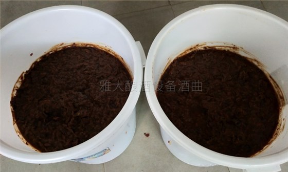 紅棗酒怎么做？用小型酒廠釀酒設(shè)備制作紅棗酒方法-06-紅棗酒釀酒-發(fā)酵2