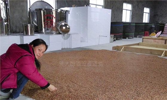 用白酒蒸酒設(shè)備釀酒的女人，一定具備這7大技能！-05