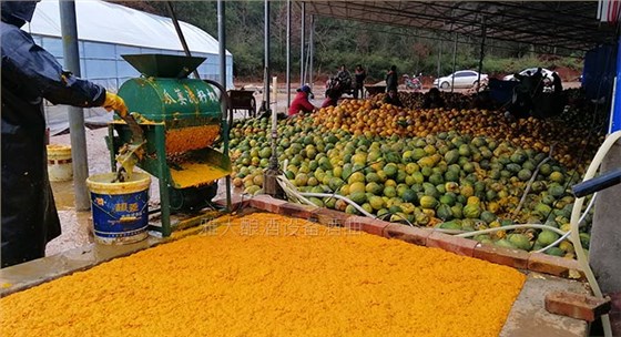 雅大大型釀酒設(shè)備廠家將瓜蔞肉釀成酒，讓果農(nóng)的利潤翻幾倍！-04