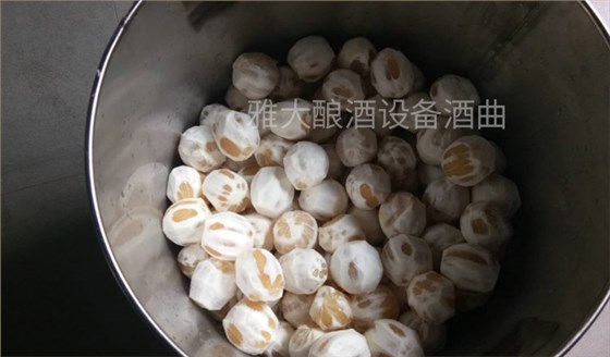 看過來，大型釀酒設備廠家制作檸檬酒的標準教程在這里！-02