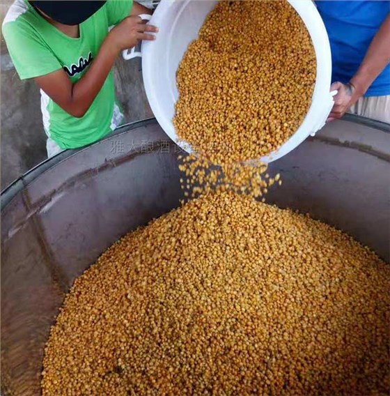 1壇土苞谷燒傳承百年！引雅大小型酒廠釀酒設(shè)備土燒大賣緬甸邊境-06