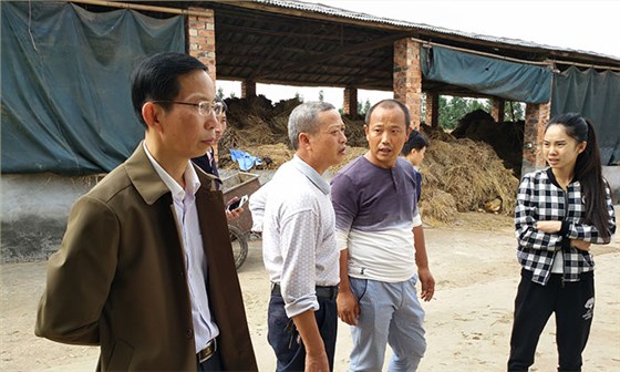 2019年外出打工？不如用多功能釀酒設(shè)備釀酒養(yǎng)牛-03-養(yǎng)殖場地